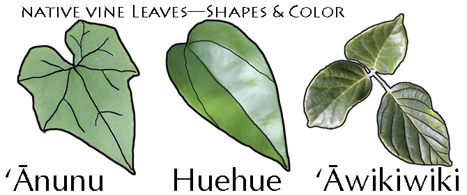 Leaf Vine Shapes Patterns